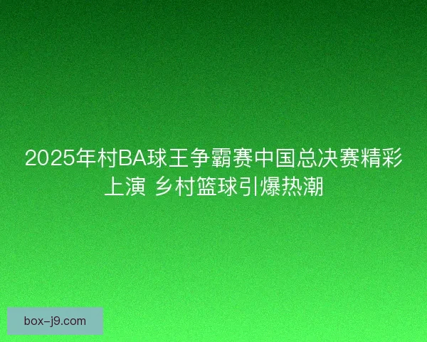 2025年村BA球王争霸赛中国总决赛精彩上演 乡村篮球引爆热潮